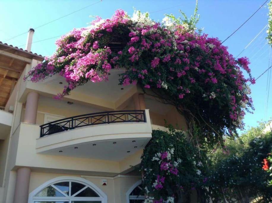 Lenico Beachfront Suites Agia Pelagia Exteriör bild