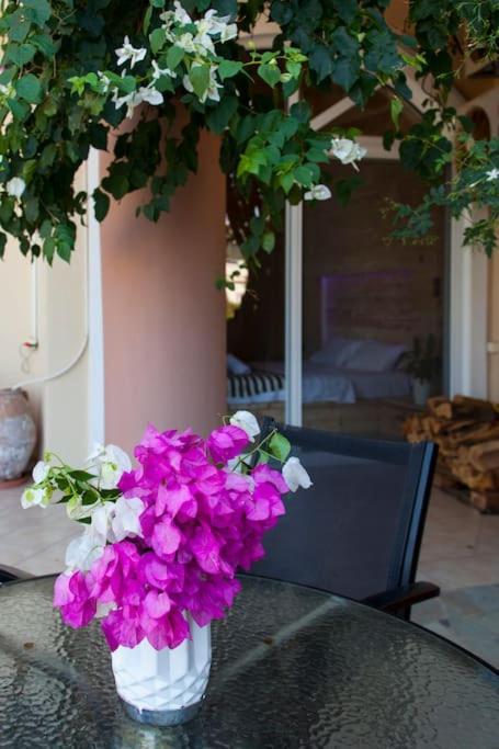 Lenico Beachfront Suites Agia Pelagia Exteriör bild