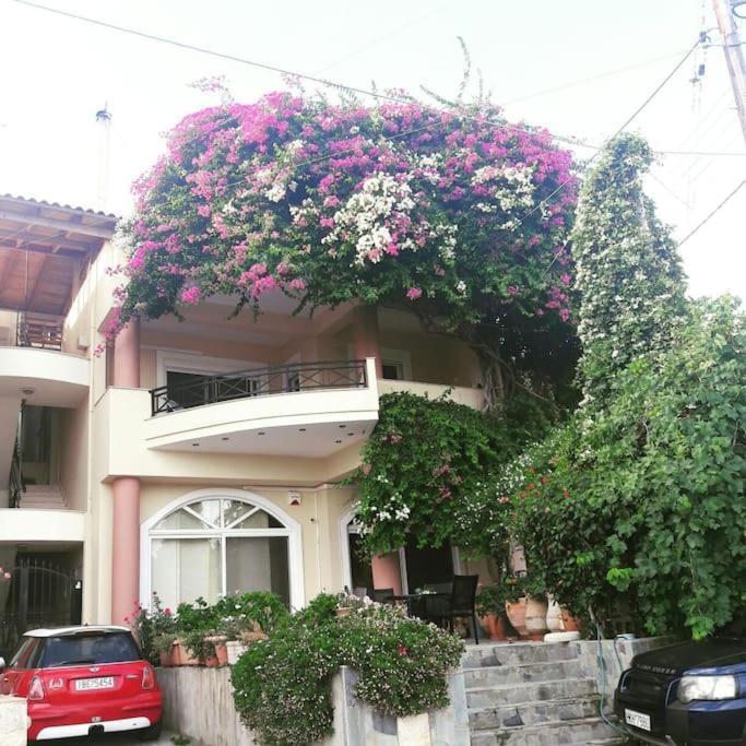 Lenico Beachfront Suites Agia Pelagia Exteriör bild